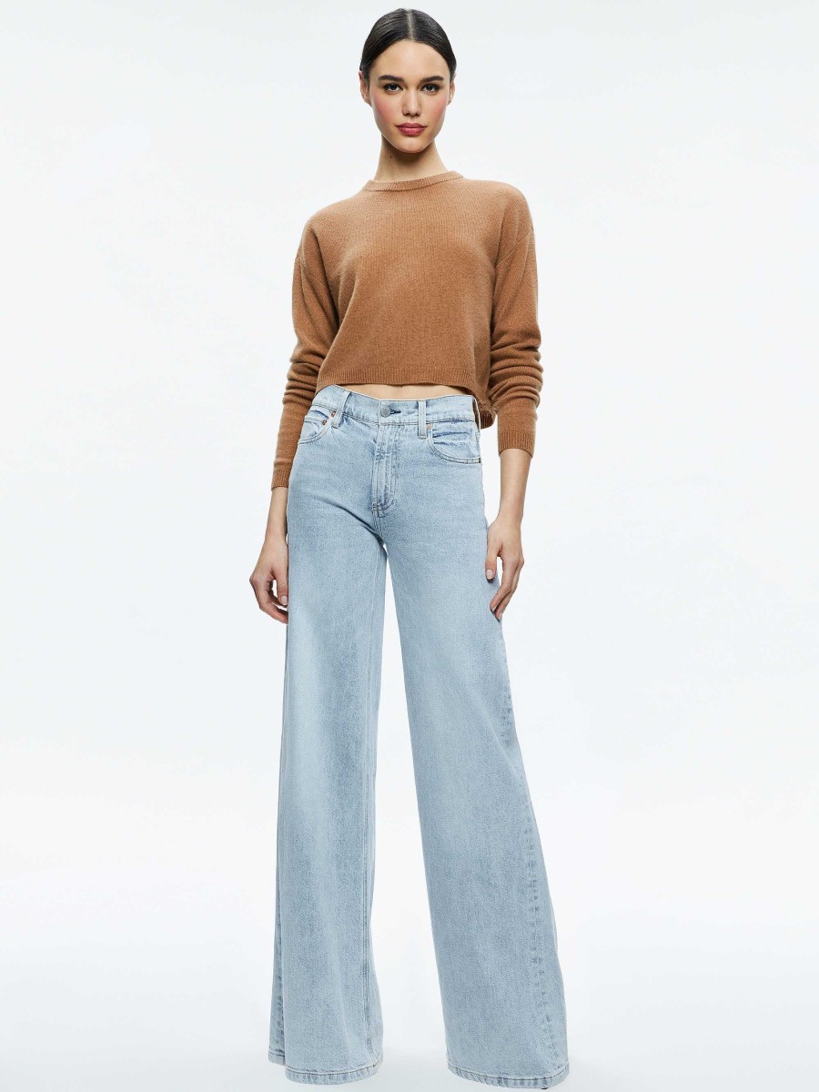 Alice and Olivia Sherrell Crew Neck Pullover | Sweaters