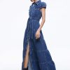 Alice and Olivia Miranda Maxi Denim Dress | Dresses